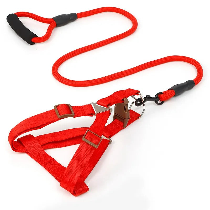 Heavy-Duty Nylon Rope Dog Leash with Padded Handle & Secure Steel Buckle