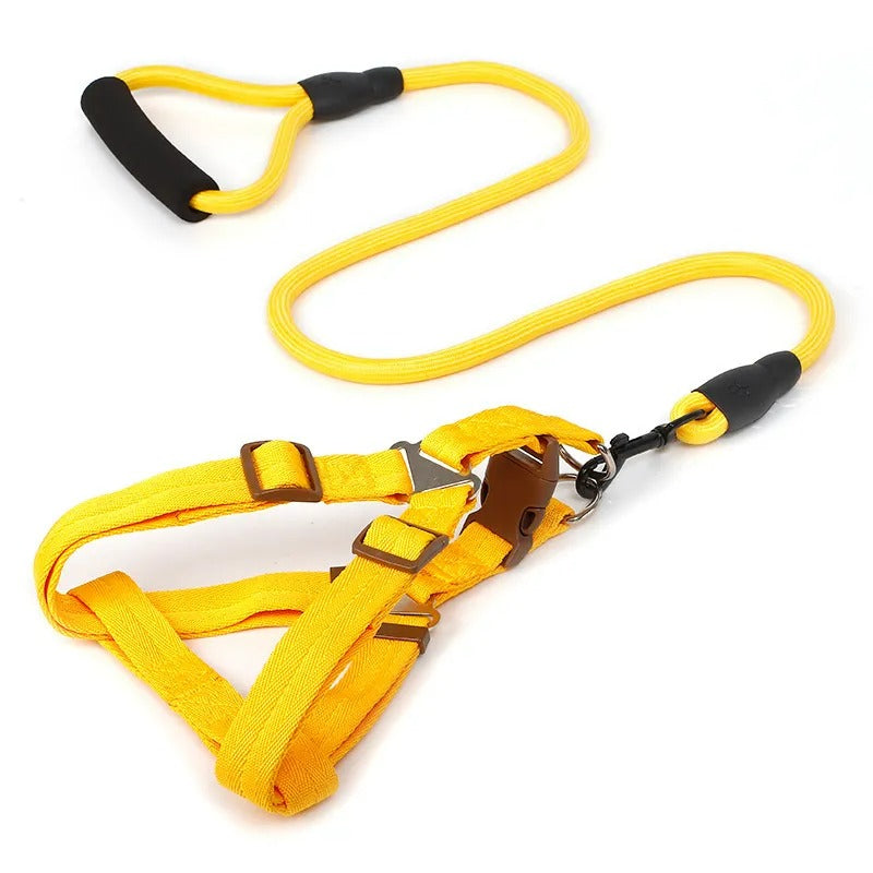 Heavy-Duty Nylon Rope Dog Leash with Padded Handle & Secure Steel Buckle
