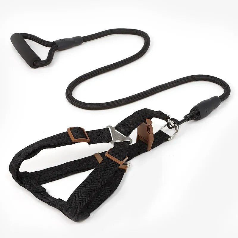 Heavy-Duty Nylon Rope Dog Leash with Padded Handle & Secure Steel Buckle