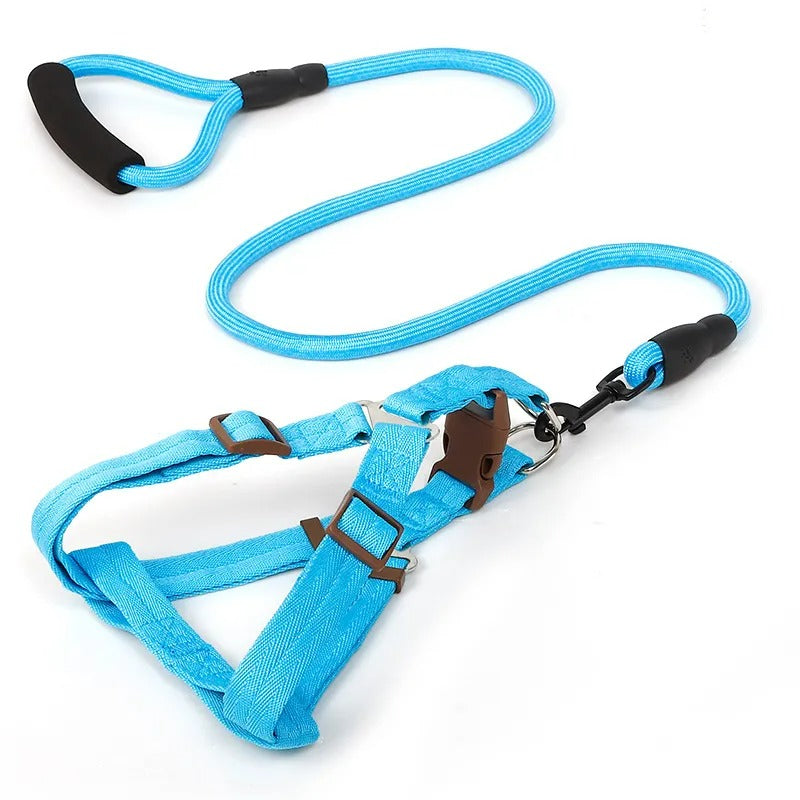 Heavy-Duty Nylon Rope Dog Leash with Padded Handle & Secure Steel Buckle