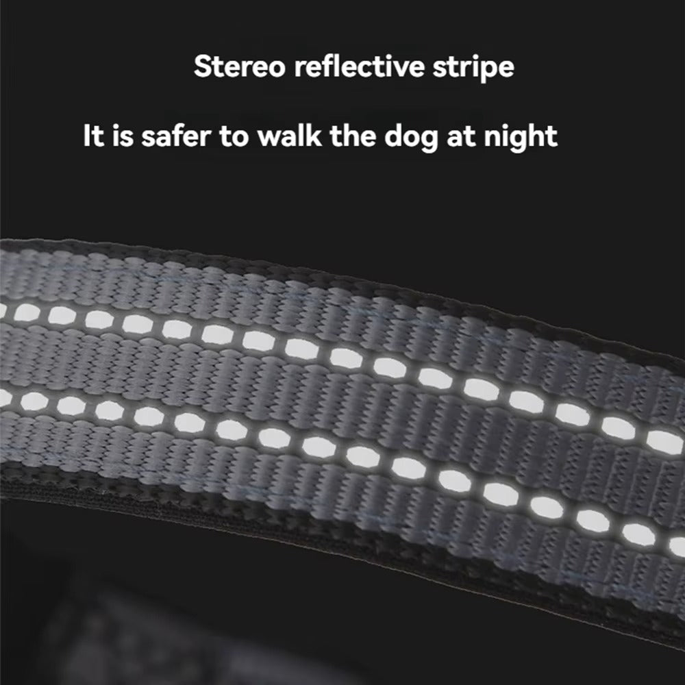 Reflective Dog Leash and Collar Set with Heavy-Duty Chain - Durable & Anti-Bite