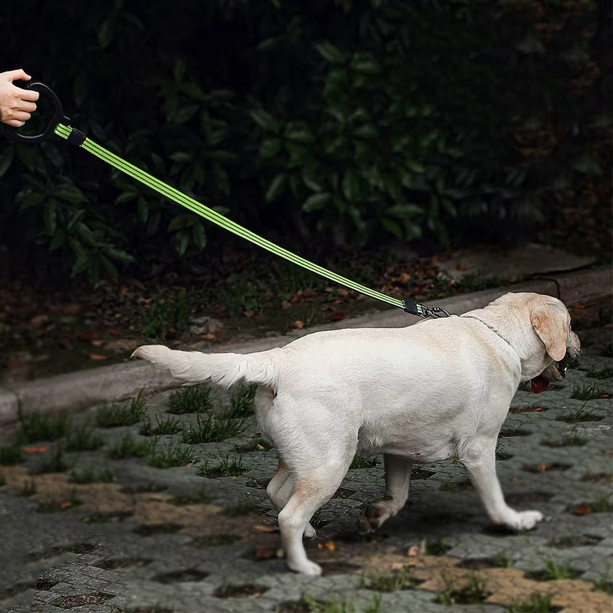 Heavy-Duty Short Dog Leash with Padded Grip Handle - Reflective Traffic Leash for Close Control