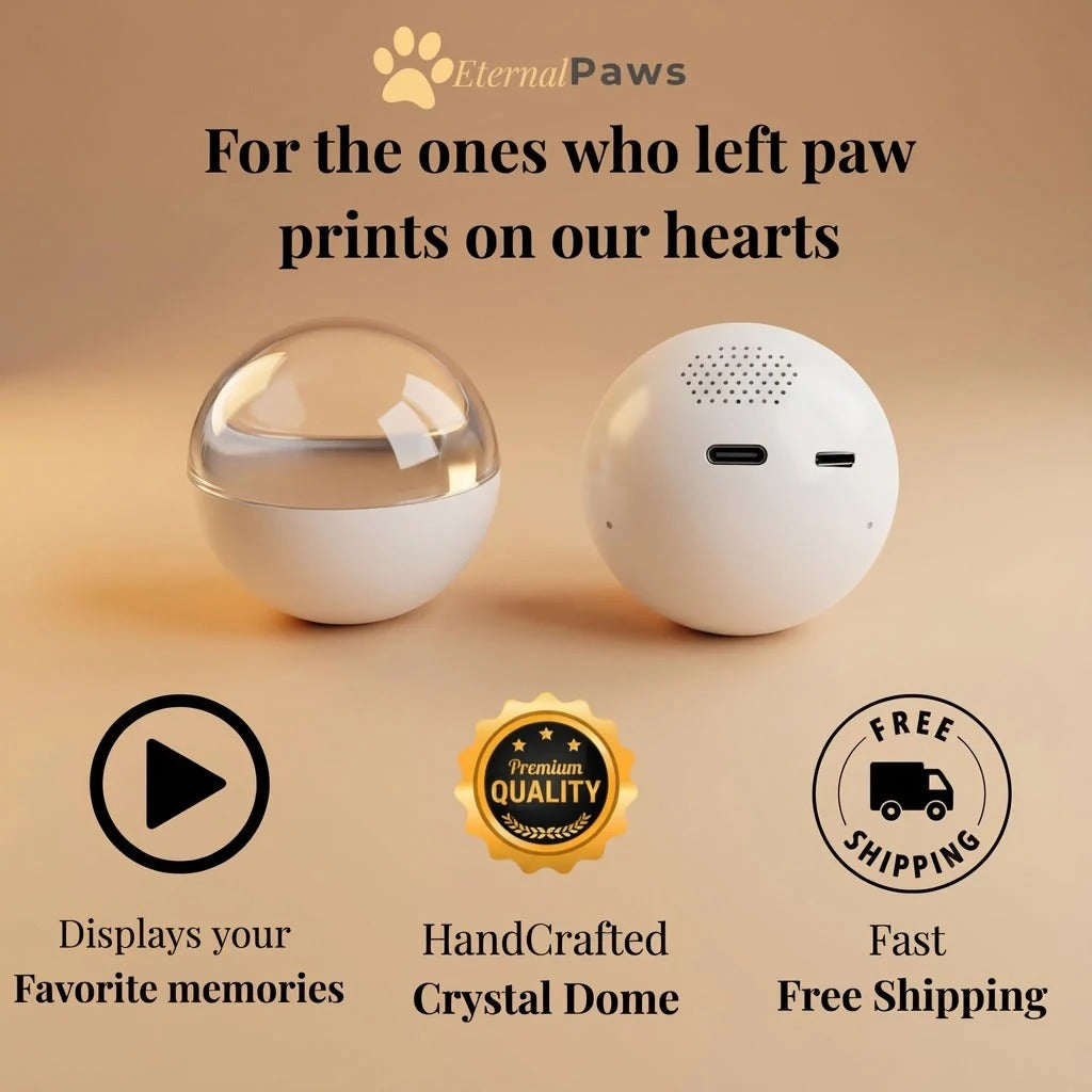 Pet Memory Orb