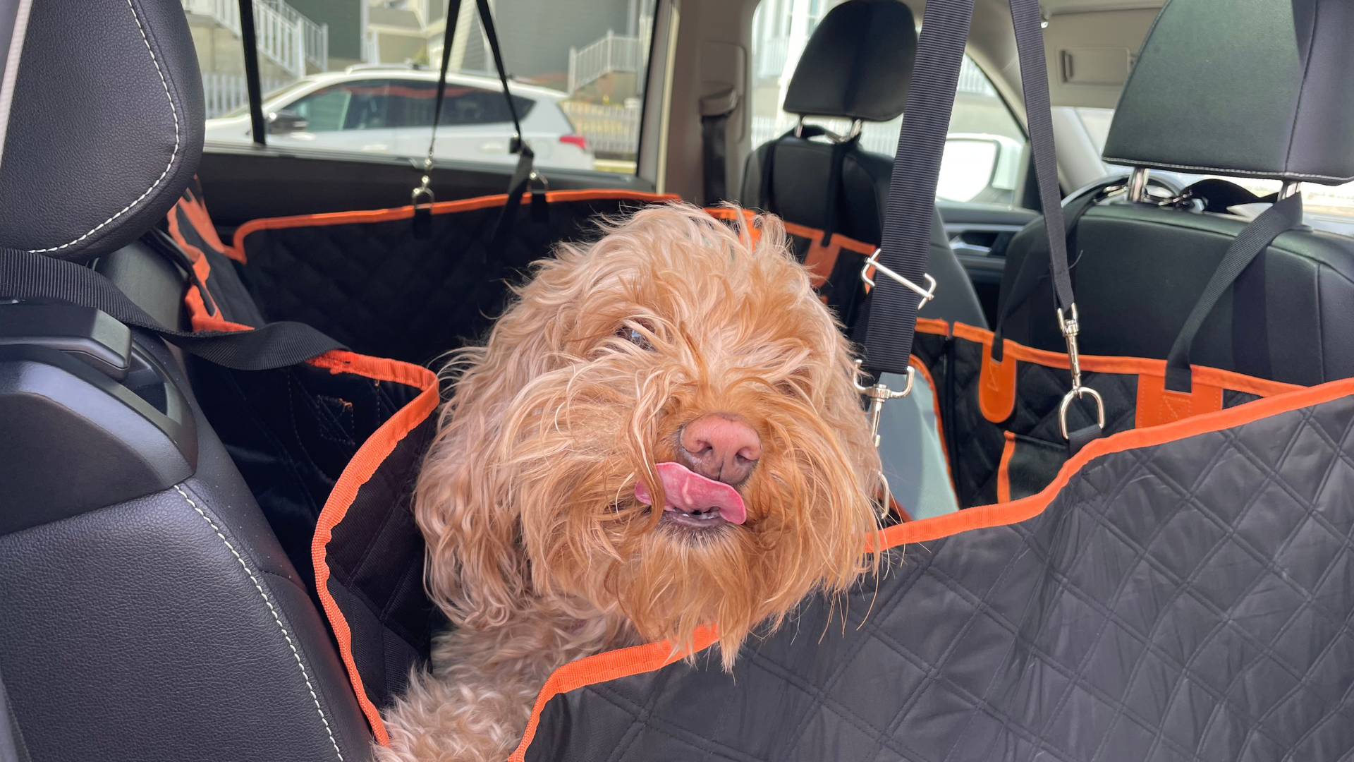 Waterproof Dog Car Seat Cover for Back Seat