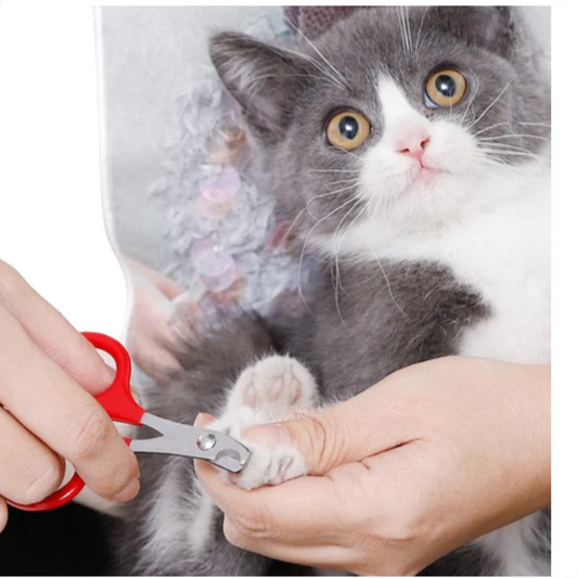 Precision Pet Nail Clippers – Safe & Easy Trimming for Dogs, Cats, & Small Animals