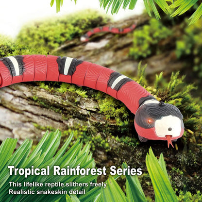Interactive Motion-Sensing Snake Cat Toy !