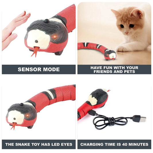 Interactive Motion-Sensing Snake Cat Toy !
