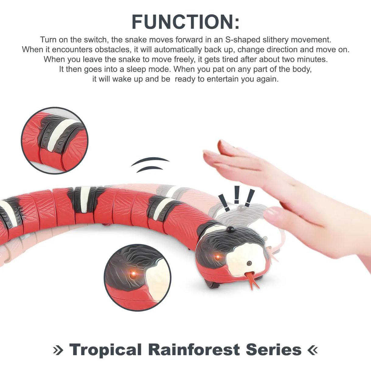 Interactive Motion-Sensing Snake Cat Toy !
