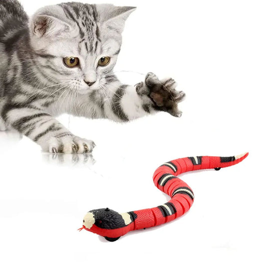 Interactive Motion-Sensing Snake Cat Toy !
