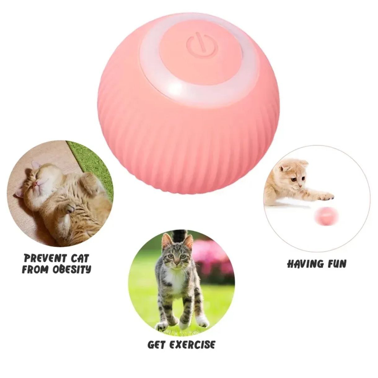 Interactive Automatic Rolling Cat Toy for Play & Exercise