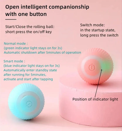 Interactive Automatic Rolling Cat Toy for Play & Exercise