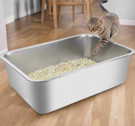 Cat standing on a metal litter box with cat litter inside, on a white background