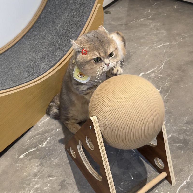 Cat playing with a ball on a cat tree