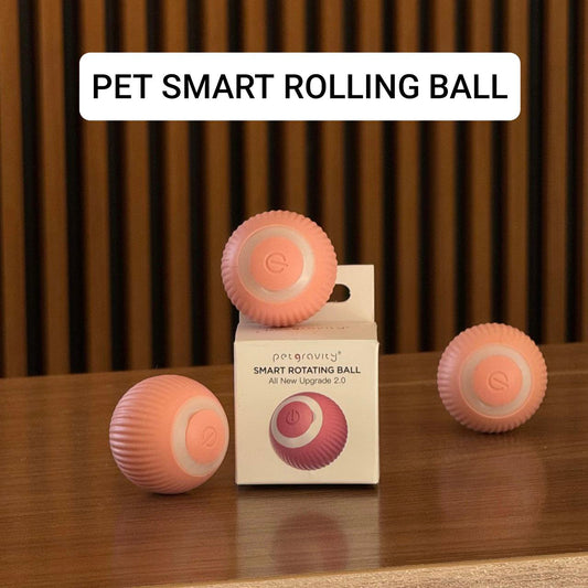 Pet smart rolling ball with packaging on a wooden surface