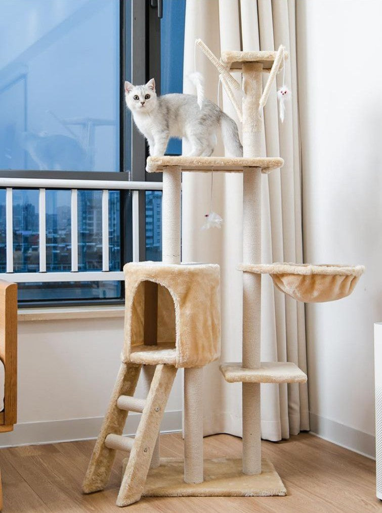 Cat sitting on a multi-level cat tree in a room with a window.