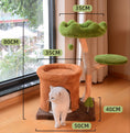 Load image into Gallery viewer, Natural Fruit Wood Tower with Canopy Bed & Cat Nest
