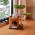Load image into Gallery viewer, Natural Fruit Wood Tower with Canopy Bed & Cat Nest
