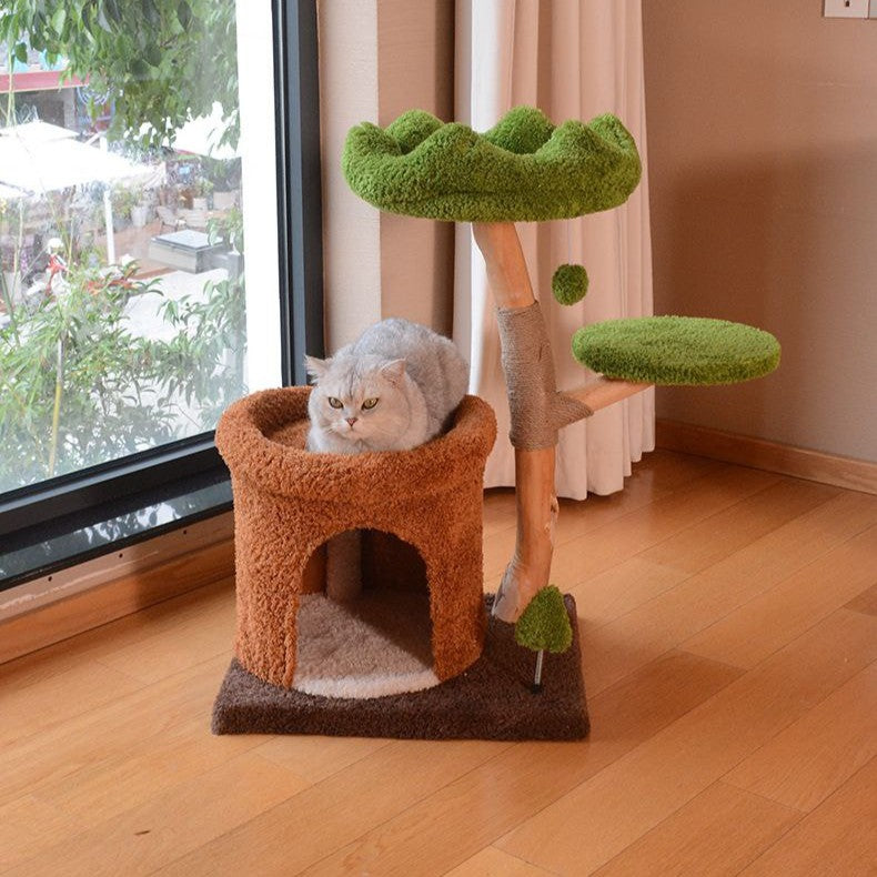 Natural Fruit Wood Tower with Canopy Bed & Cat Nest