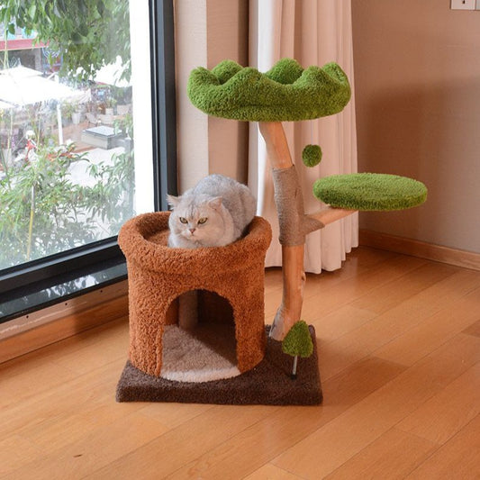 Natural Fruit Wood Tower with Canopy Bed & Cat Nest