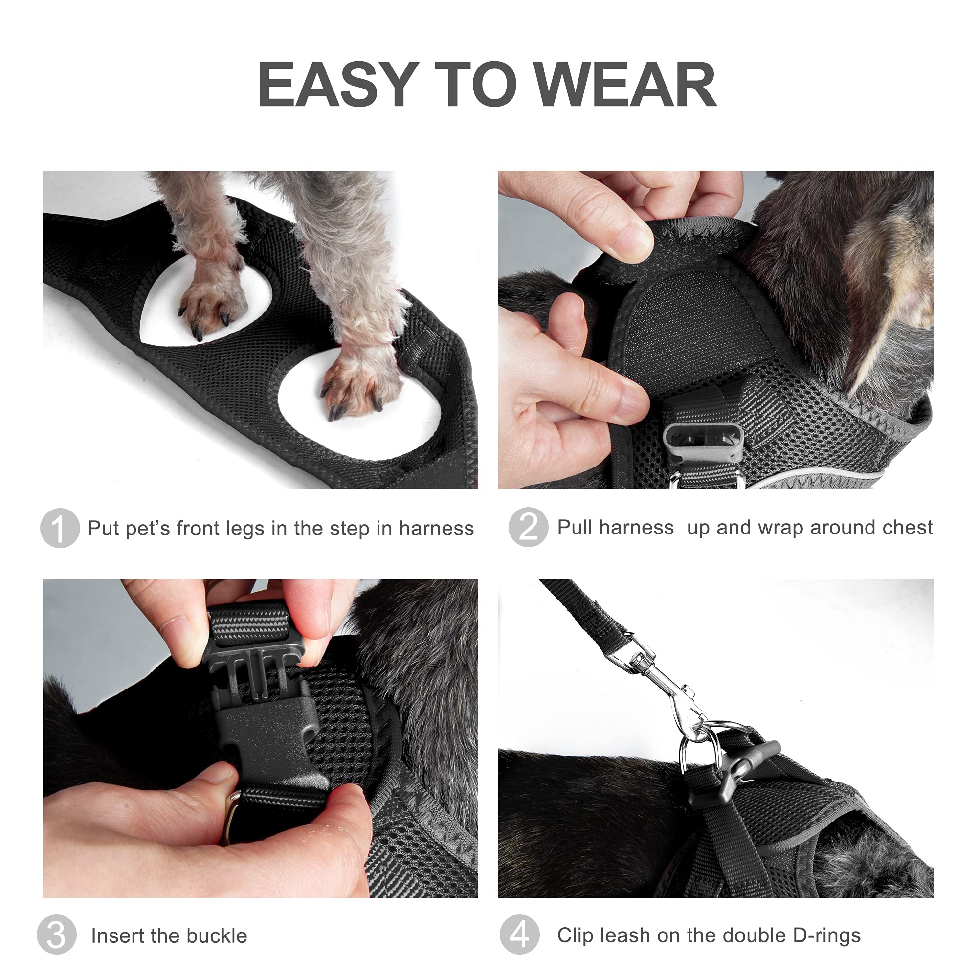 FIDA Step in Small Dog Harness and Leash Set