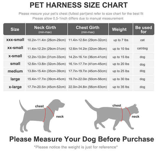 FIDA Step in Small Dog Harness and Leash Set