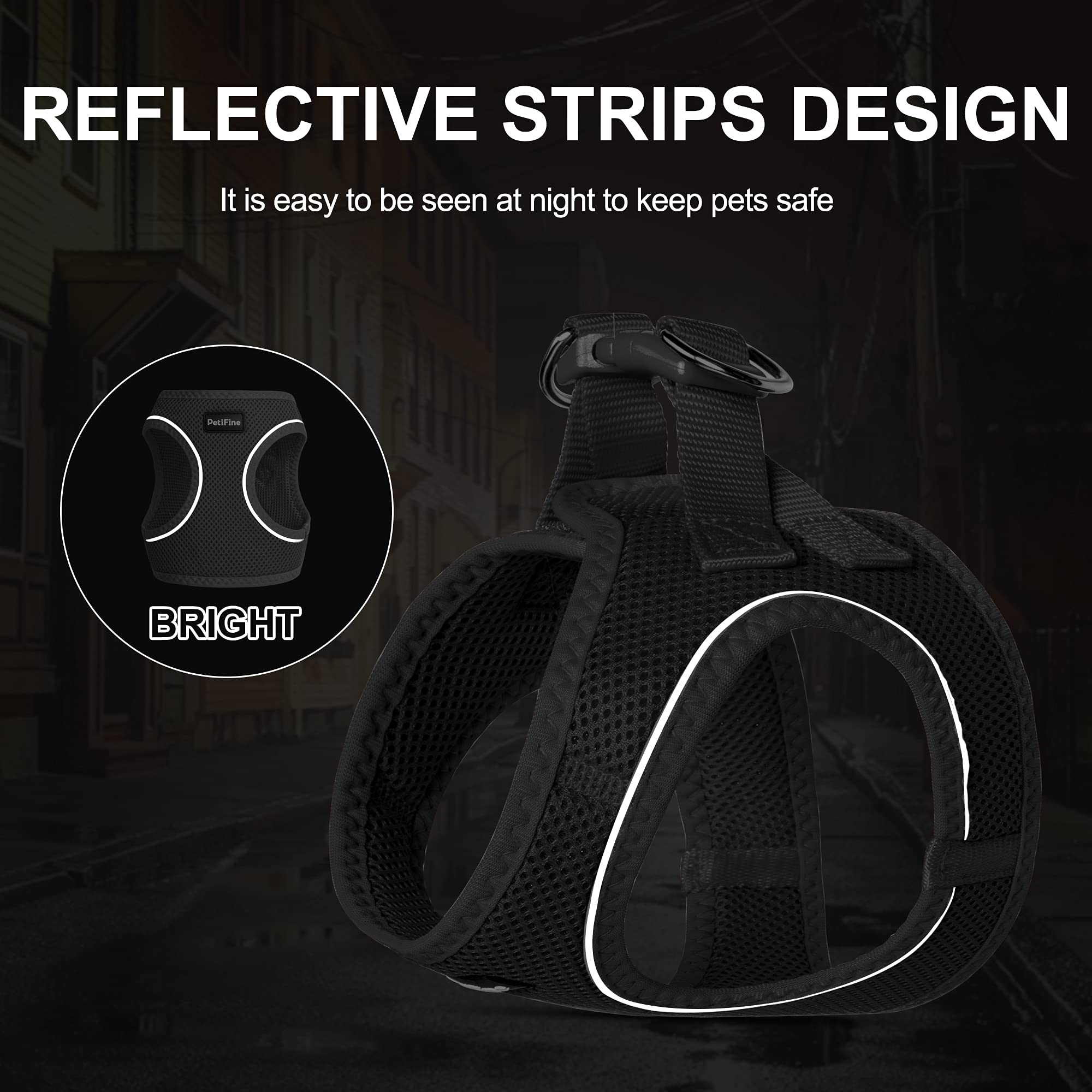 FIDA Step in Small Dog Harness and Leash Set