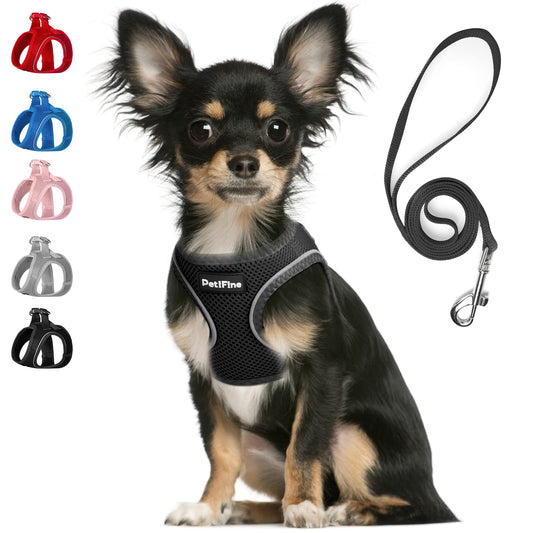 FIDA Step in Small Dog Harness and Leash Set