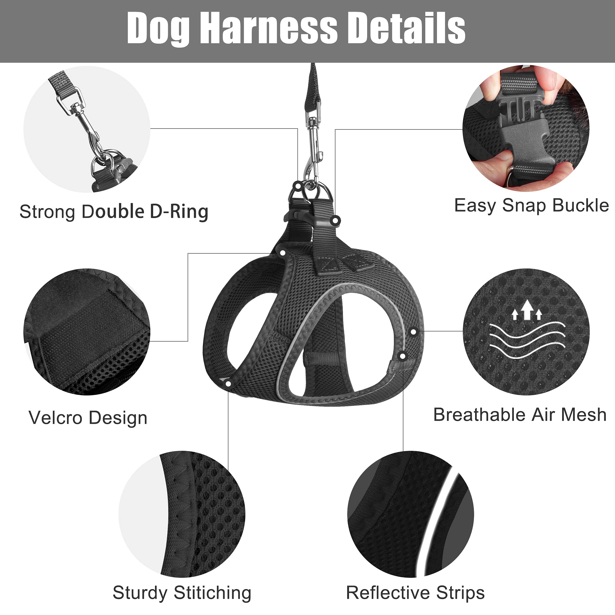 FIDA Step in Small Dog Harness and Leash Set